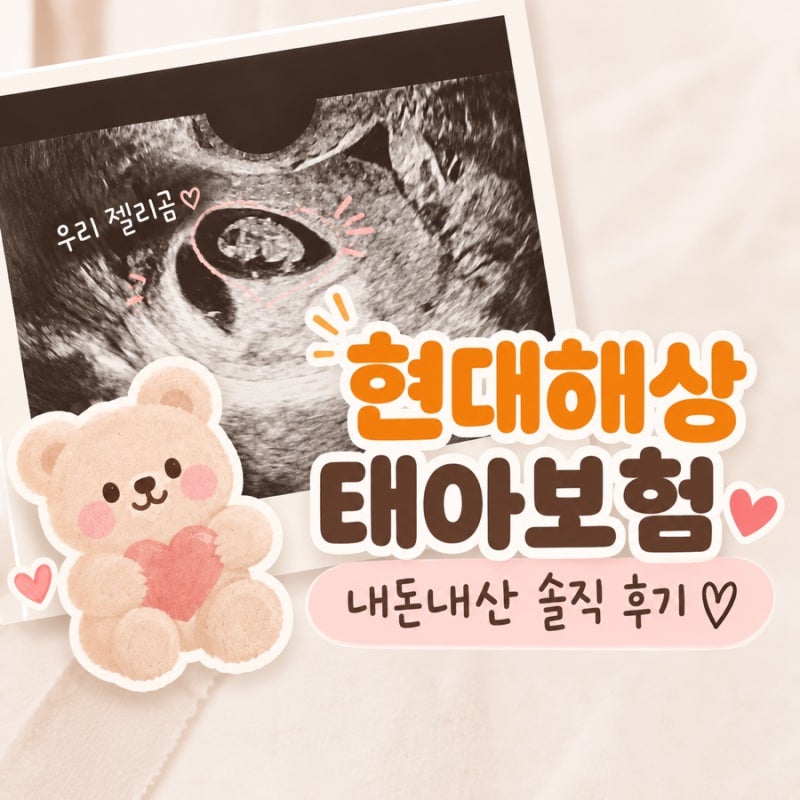 현대해상 태아보험 내돈내산 가입 후기 및 꿀팁(+추가혜택정보)