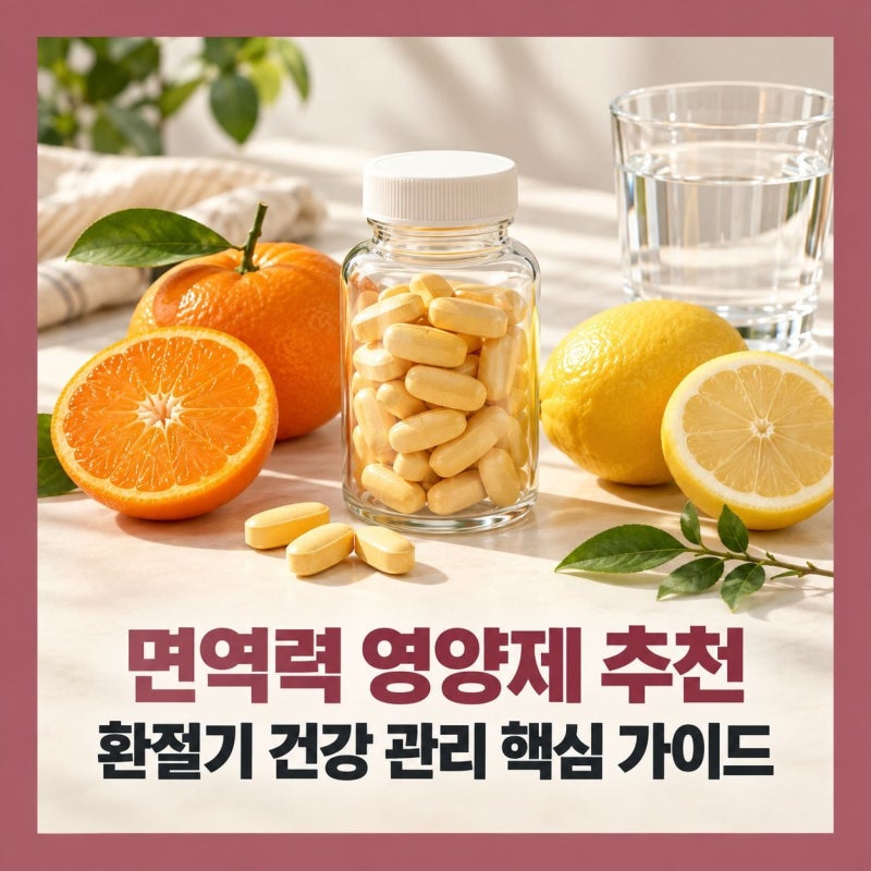면연력 영양제 추천, 환절기 건강 관리 핵심 가이드
