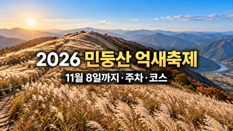 민둥산 억새축제 2026, 기간부터 절정·주차·등산코스까지