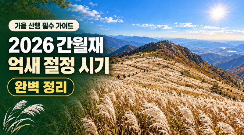2026 간월재 억새 절정 시기 완벽 정리: 은빛 억새 인생샷 포토존 & 일몰 시간