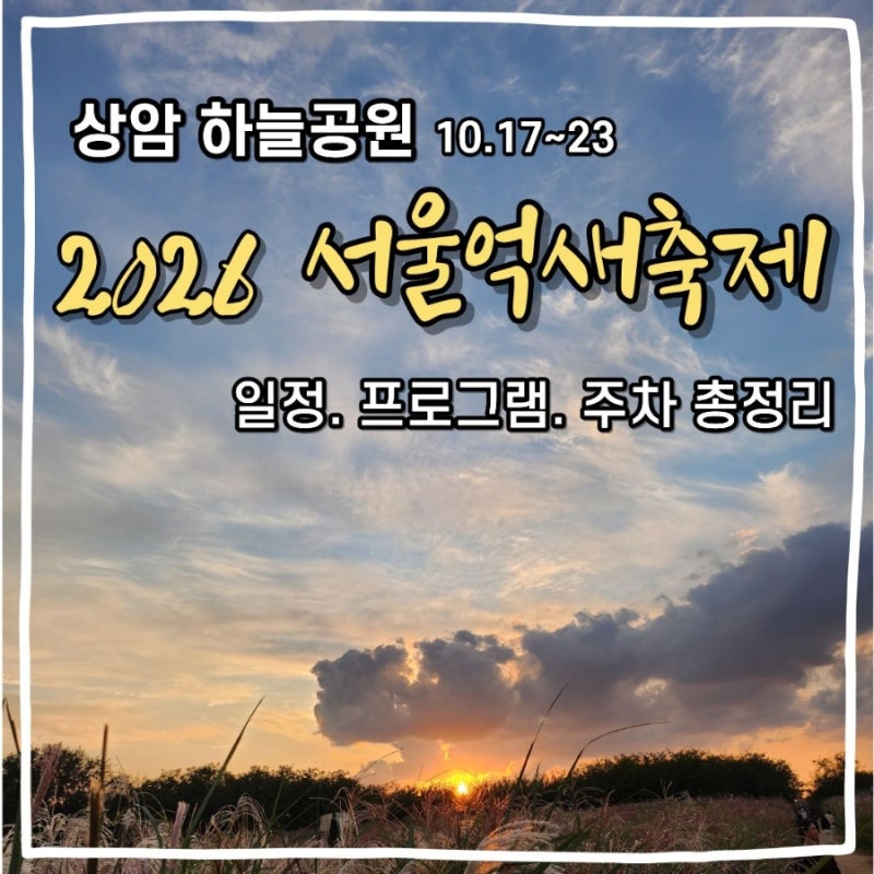 [상암 하늘공원] 2026 서울억새축제, 일정,주차,추석나들이,데이트코스