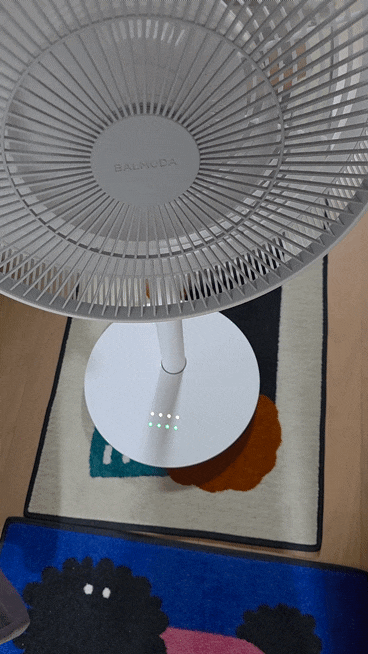 발뮤다 그린팬 4단 꺼짐·리모컨 먹통, 어댑터 교체로 해결 (AS 후기)