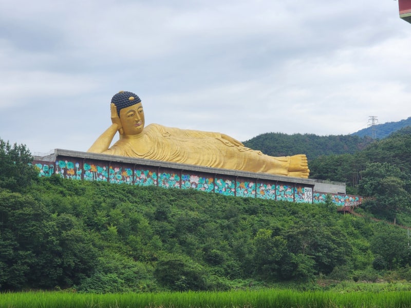 [밀양] 밀양 가볼만한곳 영산정사 세계 최대 황금 와불상 직접 본 솔직후기
