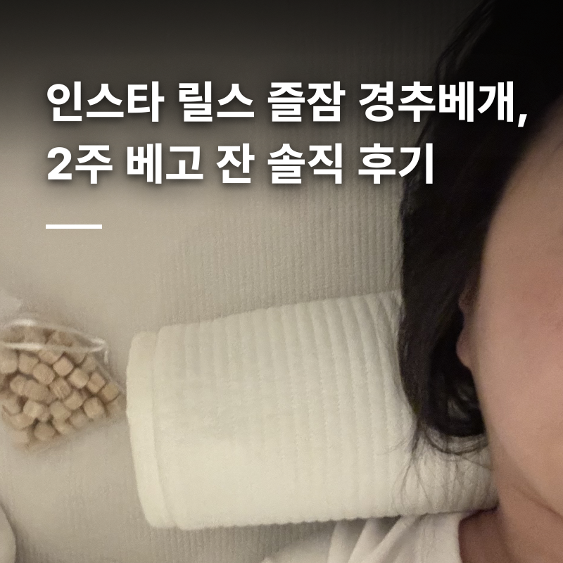 인스타 릴스 핫템으로 뜨던 즐잠 경추베개, 2주 베고 잔 솔직 후기｜바이오비드폼 추천 이유