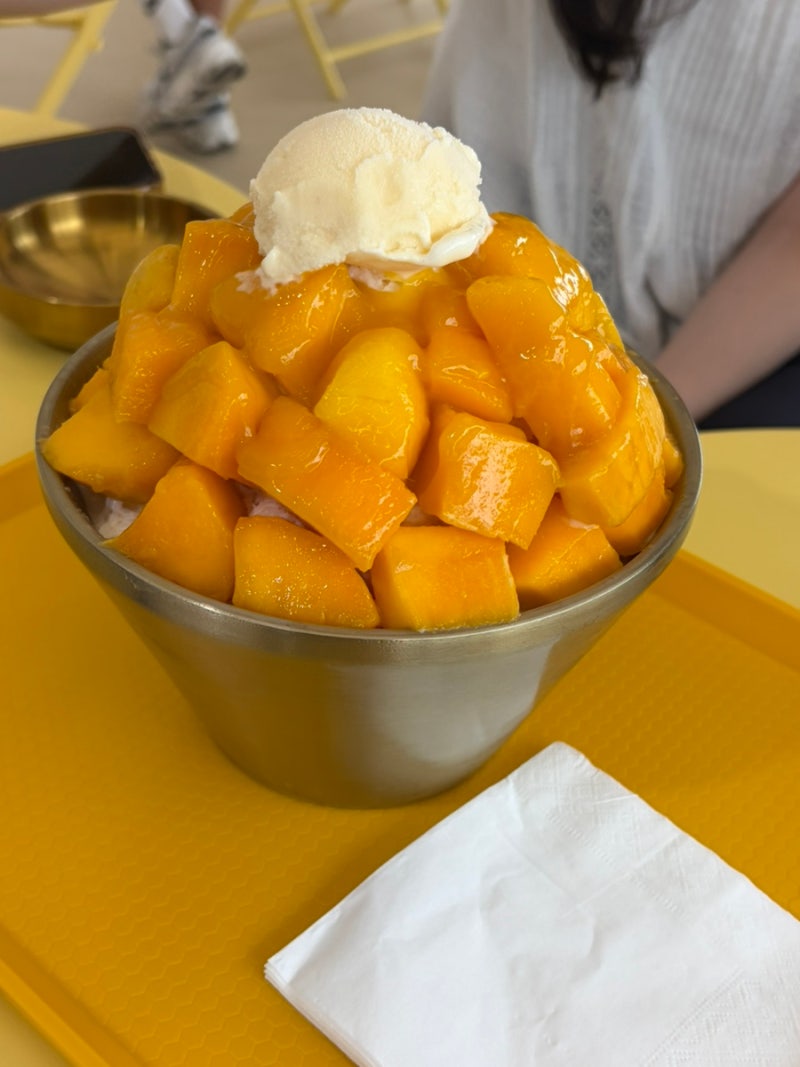 제주도여행 서귀포 애플망고빙수 맛집 제주망고집 내돈내산 후기 |제주애플망고 무진장 빙....