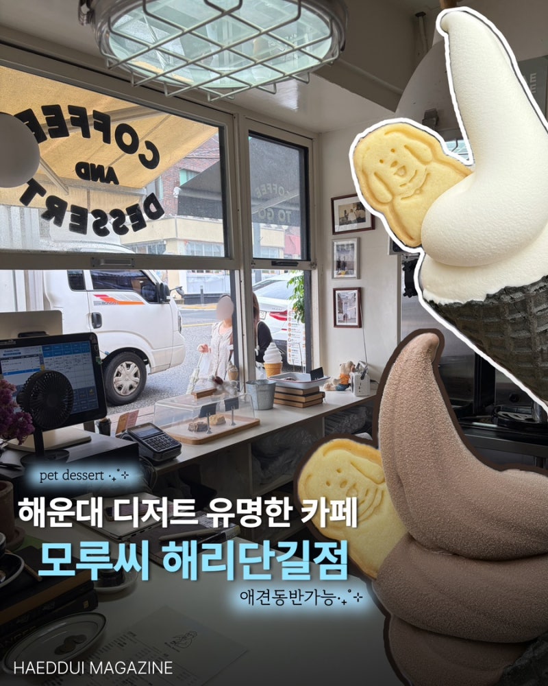 모루씨 해리단길점 :: 해운대애견동반카페 스콘 맛집 솔직후기