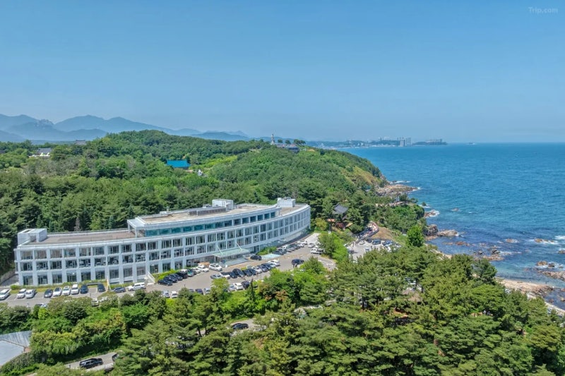 포타라카 낙산비치웰니스 후기 | 낙산사·낙산해수욕장 근처 호텔 온돌방·조식·웰니스 프로....