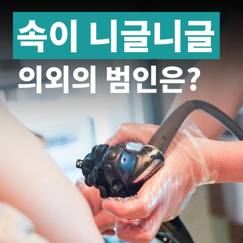위 아픔 속쓰림 속 니글니글 할 때 통증 원인이 뭘까?