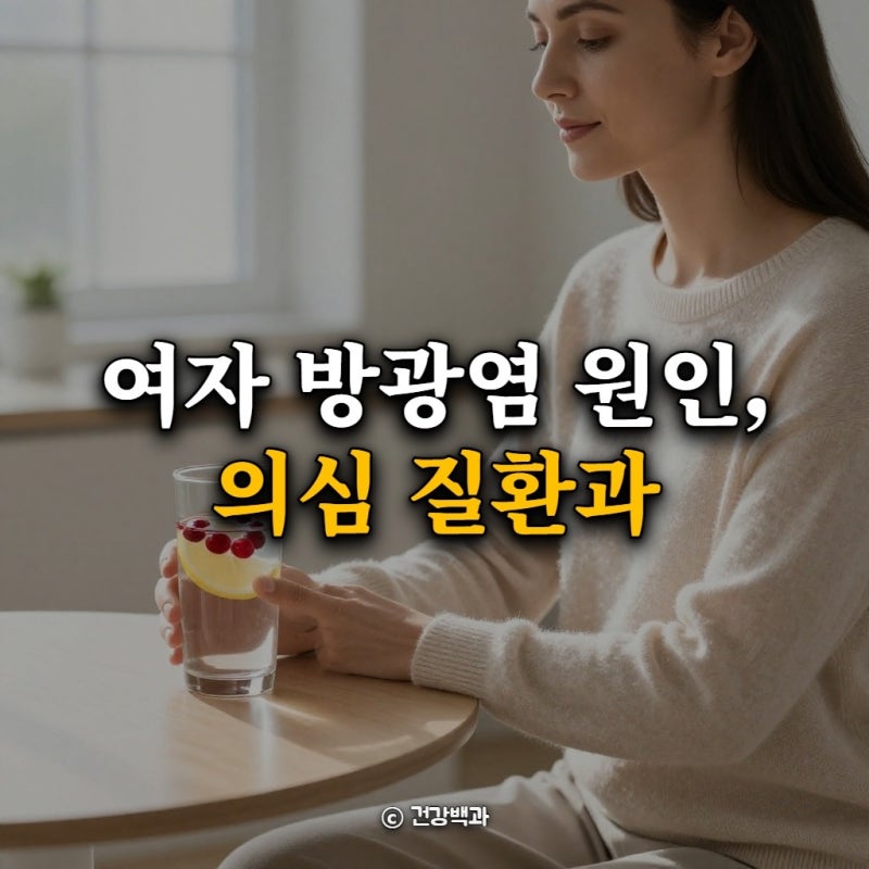 여자 방광염 원인, 의심 질환과 원인별 핵심 관리법