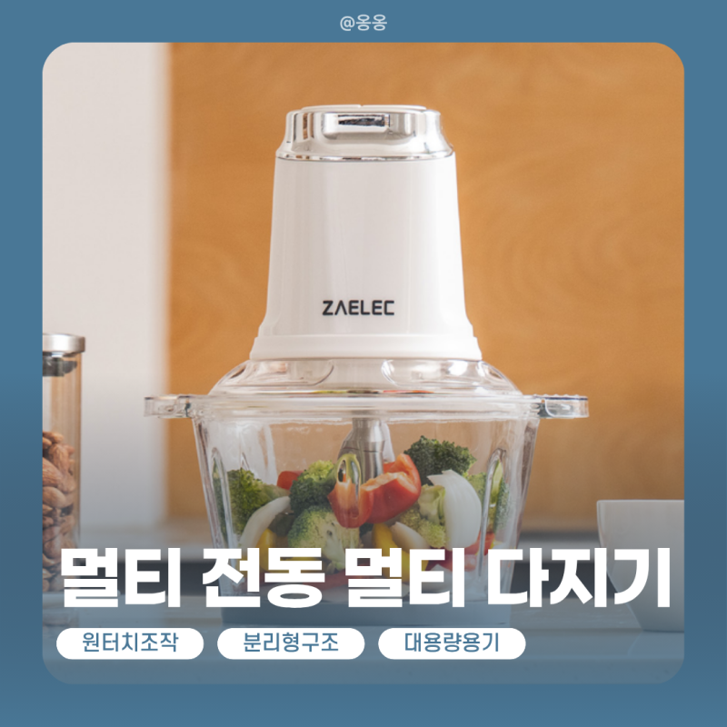 ✨자일렉 스텐 마늘다지기 만능 초퍼 이유식 고기 야채믹서기 추천 정보