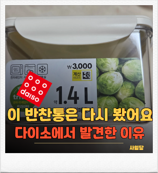 "반찬통은 다 거기서 거기인 줄 알았죠" 다이소에서 이건 다시 봤어요