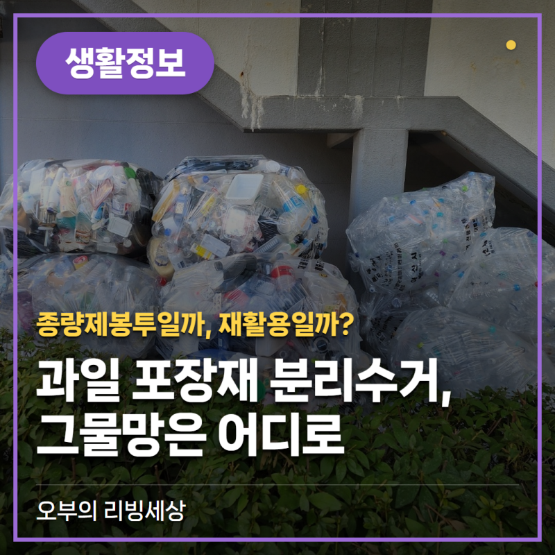과일 포장재 분리수거, 그물망·완충재는 어디로? (선물세트 트레이·비닐)