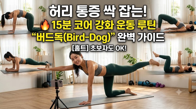 허리 통증 싹 잡는 버드독(Bird-Dog) 운동법! 초보자 15분 코어 루틴 총정리