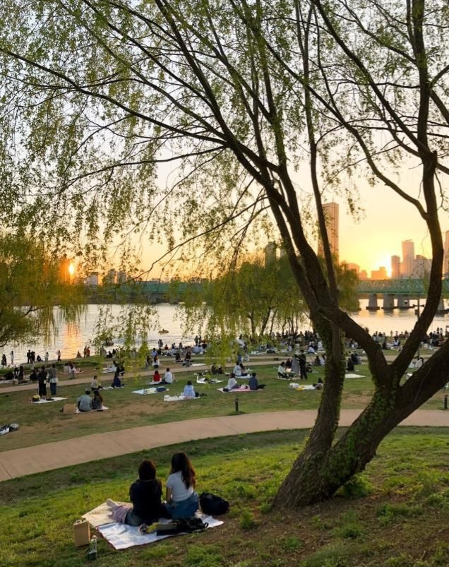한강 위 지상낙원 탄생: 노들섬 수변문화공간 전격 개방! 1.5km 순환 산책로·피크닉 꿀팁과 주....