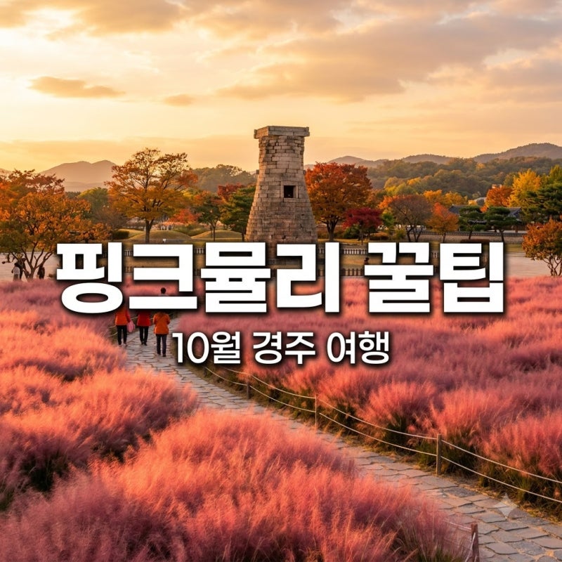 10월 경주 가을 여행지 첨성대 핑크뮬리 개화 시기와 야경 코스