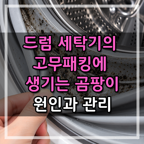 드럼세탁기 고무패킹 곰팡이 원인은? 냄새 나기 전 관리방법