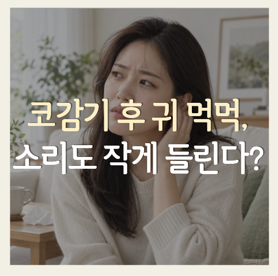 코감기 후 귀가 먹먹해요, 귀 막힌 느낌과 잘 안 들리는 건 다릅니다