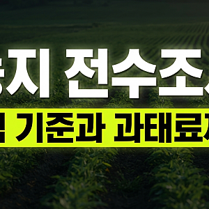 2026 농지 전수조사 대상 면적 기준과 확인 방법, 과태료까지 정리
