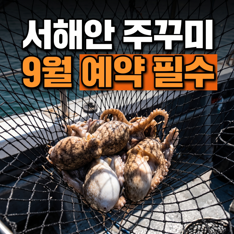 쭈꾸미 낚시 시즌 예약 방법과 채비 (+ 낚시대 서해 인천 태안)