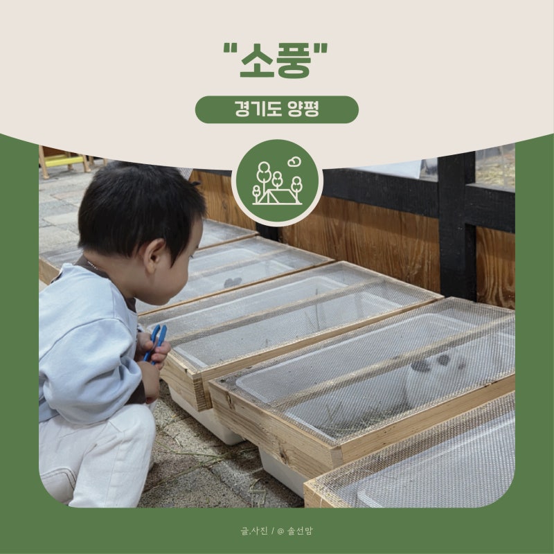 서울근교갈만한곳 주말 가족 나들이 서울근교동물농장 I 양평 소풍