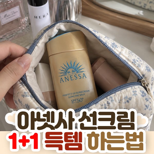 아넷사 선크림 1+1 득템 성공하는 방법과 피부타입별 추천 총정리