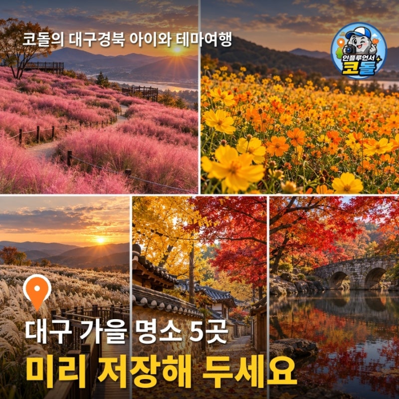 2026 대구 가을 명소 위시리스트 | 아이랑 갈 핑크뮬리·억새·단풍 스팟 5곳 미리보기 (칠곡 가....