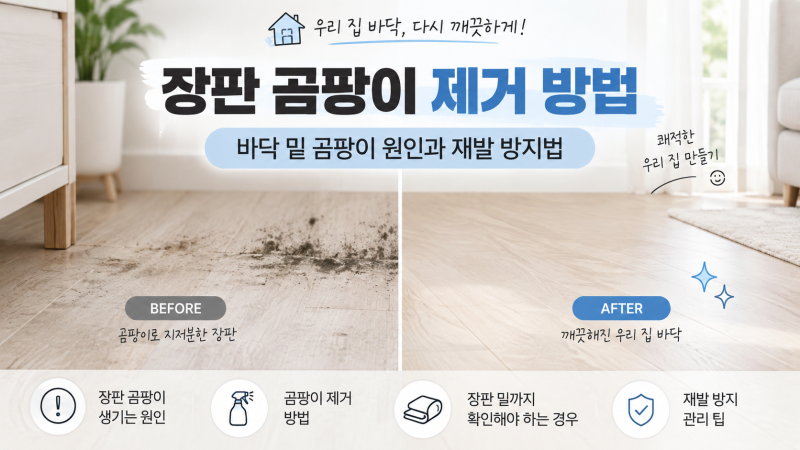 장판 곰팡이 제거 방법｜바닥 밑 곰팡이 원인과 재발 방지법