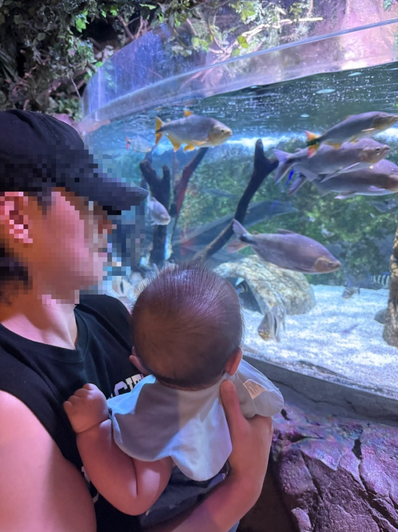 6개월 아기랑 부산 SEA LIFE 아쿠아리움｜유모차·수유실부터 아기 반응까지 솔직후기