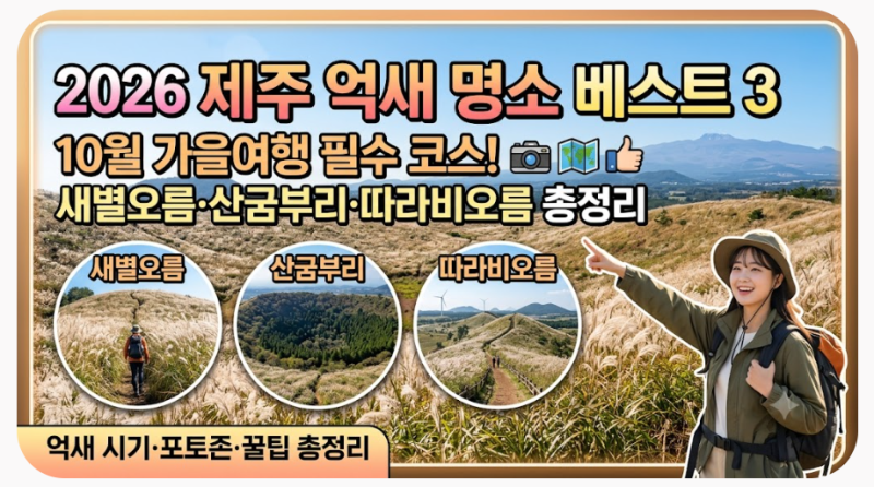 2026 제주 억새 명소 추천｜10월 가을여행 새별오름·산굼부리·따라비오름 총정리