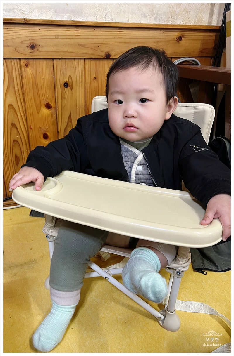 손쉽게 가지고 다니는 휴대용 아기의자 - 아가드 베베 비비 허니부스터 휴대용아기의자