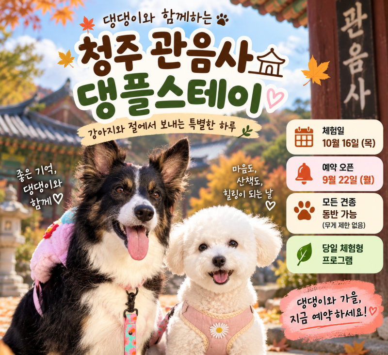 청주 애견 동반 가볼만한 곳, 관음사 댕플스테이 10월 체험 예약 오픈