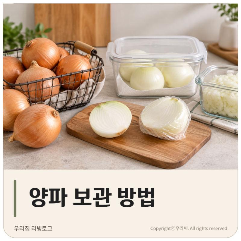 양파 보관방법 무르지않고 오래 두는 법