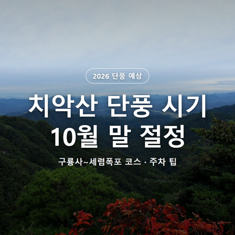 치악산 단풍 시기 2026, 절정 예상과 구룡사 코스