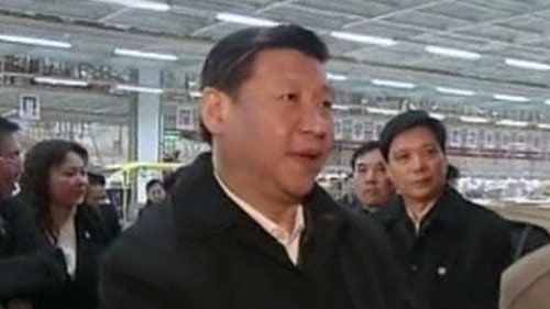 시진핑 뇌경색설 또 떴다, 나무위키 이력 정체 뭐길래