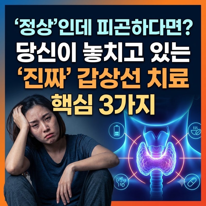 갑상선 치료, '정상'인데 피곤하다면? 당신이 놓치고 있는 '진짜' 핵심 3가지