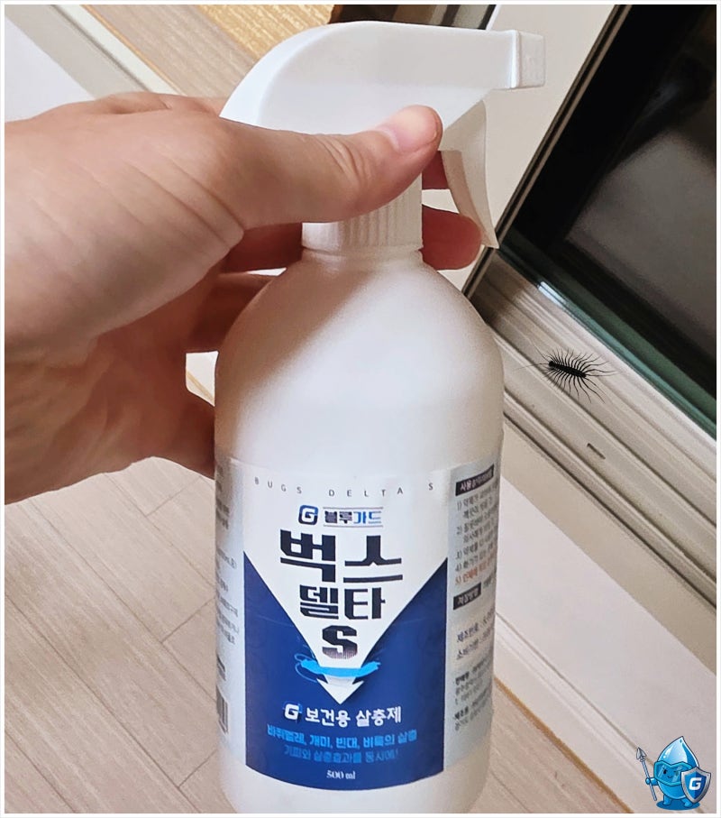 돈벌레 나오는 이유, 습도와 먹이가 만든 조건