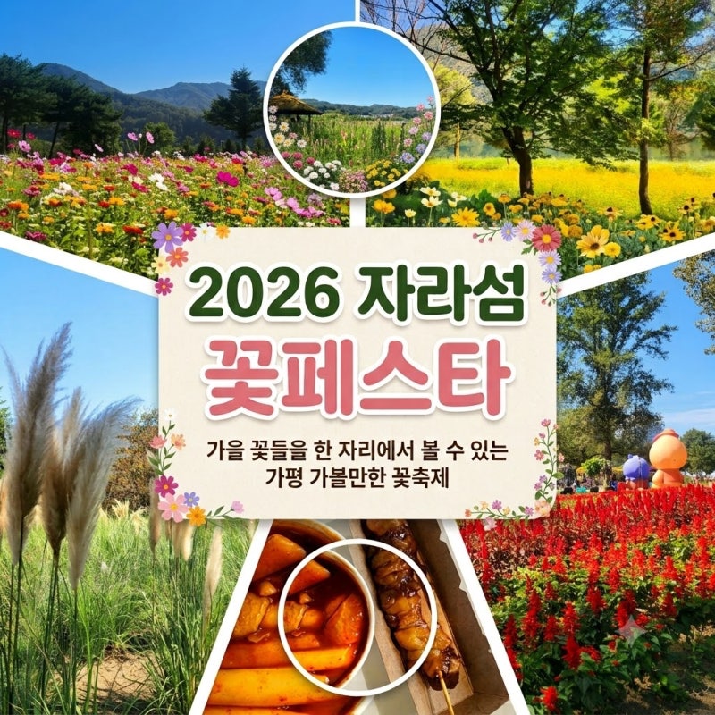자라섬 꽃축제 | 입장료 7천원 내면 5천원 돌려받는 가평 나들이 꽃페스타 다녀온 후기