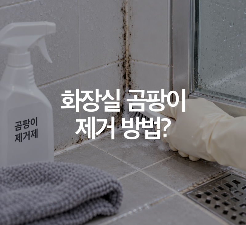화장실 곰팡이 제거 방법, 생기는 원인과 재발 방지 관리법