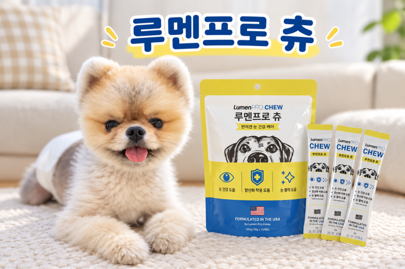 강아지 눈 건강 데일리 케어 루멘프로코리아 루멘프로 츄 강아지 눈영양제