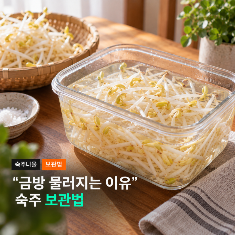 숙주는 왜 금방 물러질까요, 숙주나물 보관법 생숙주 데친숙주 보관 기간