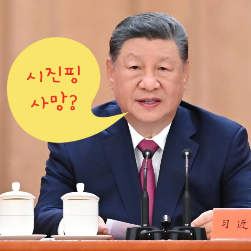 시진핑 사망 건강 이상설 ! 방미 인도 쓰러짐 뇌경색 기절 죽음 별세 임기 나이 나무위키