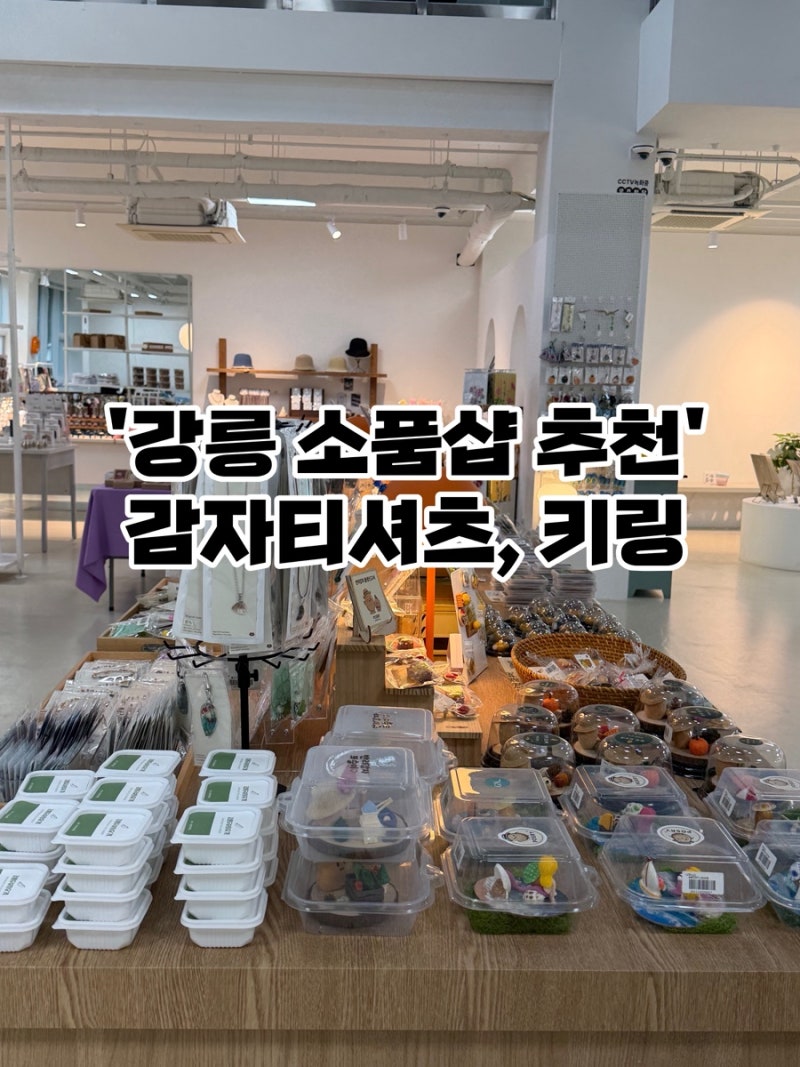강릉 선물 하기좋은 소품샵 감자 공예품많은 데이트코스 추천 : 굿즈임당 (키링, 감자티셔츠....