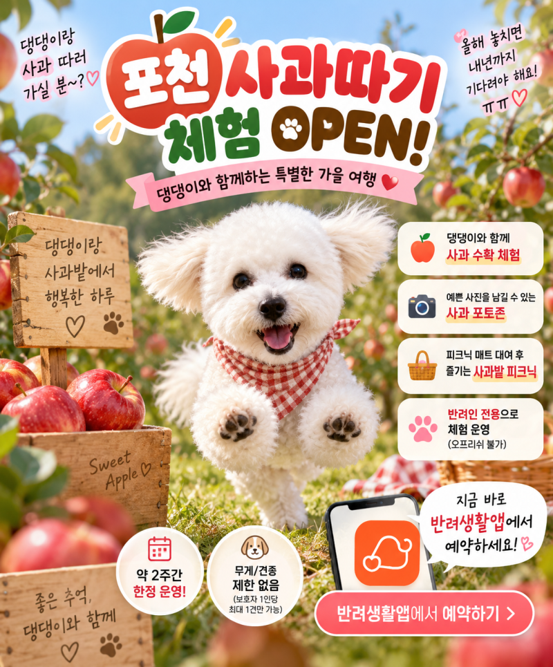 포천 애견동반 가볼만한 곳 포천 반려견 사과따기 체험 예약 오픈