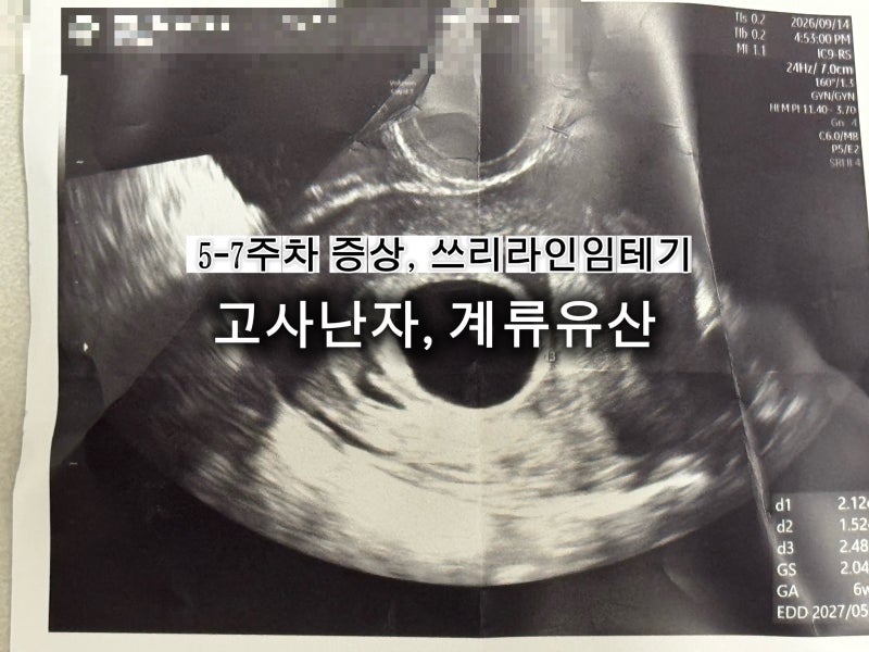[임신 기록] 6-7주차 증상, 그리고 계류유산, 고사난자, 소파술. (쓰리라인임테기 결과)