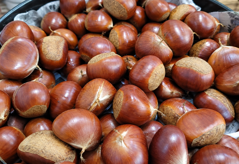 밤 효능과 부작용, 맛있게 삶는 법부터 보관법까지