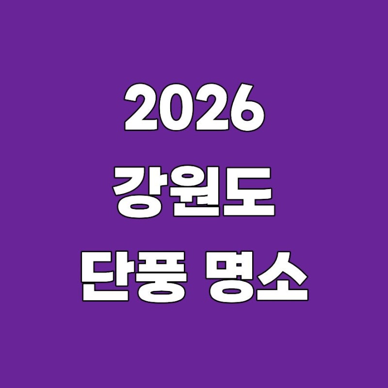 2026 강원도 단풍 명소, 올해 절정은 언제? 설악산·오대산·치악산 가을 여행 총정리