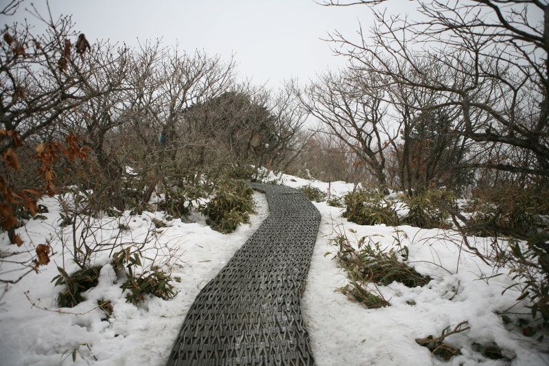 무주 덕유산 눈꽃 곤도라 예약 팁, 2주 전 일요일 예약 오픈과 설천봉·향적봉 상고대 산행 요....