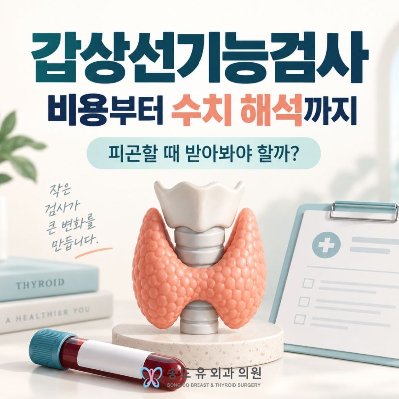 갑상선기능검사 비용부터 수치 해석까지, 피곤할 때 받아봐야 할까?