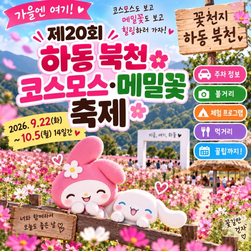 2026 하동 북천 코스모스 메밀꽃 축제 총정리기간·주차·볼거리·체험까지!