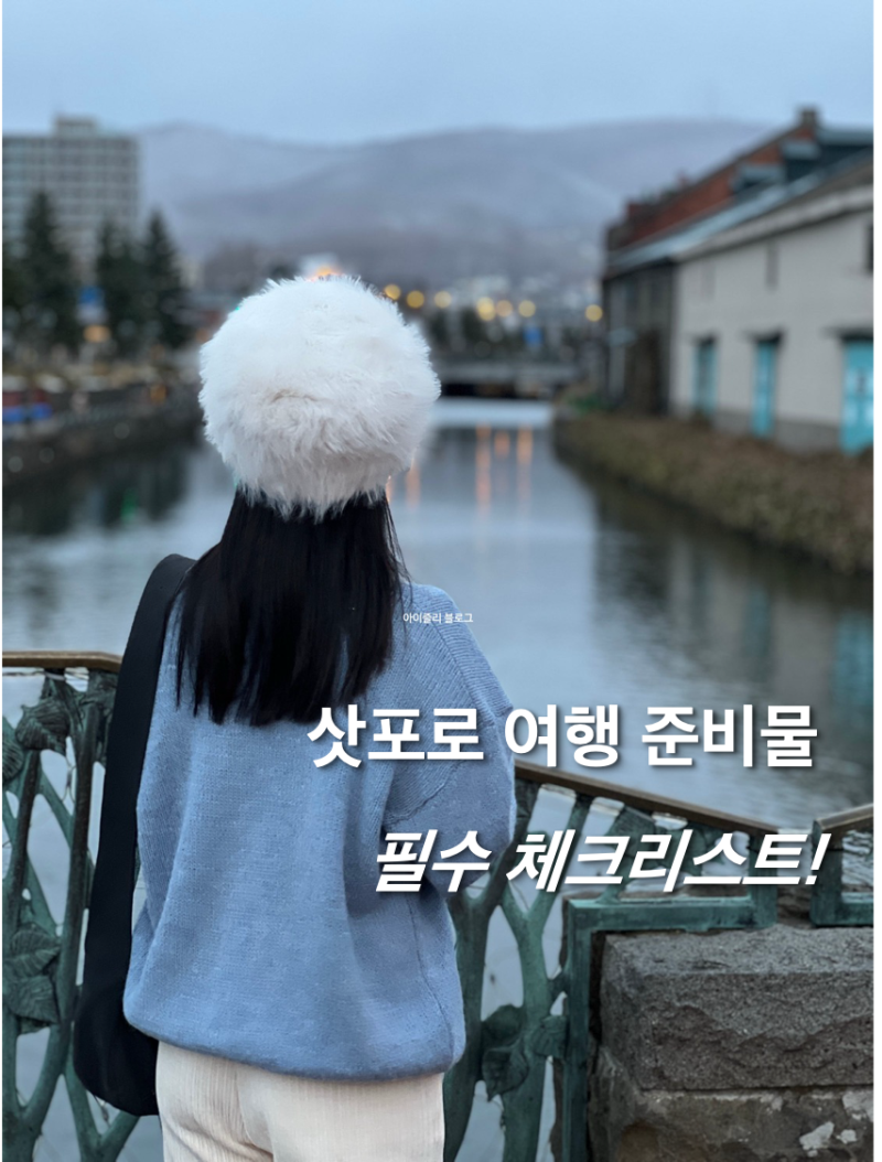 삿포로 여행 준비물 리스트 입국심사 비짓재팬 등록 방법 비지트재팬 웹 일본 자유여행 이심....